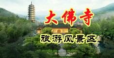 www插插插com中国浙江-新昌大佛寺旅游风景区